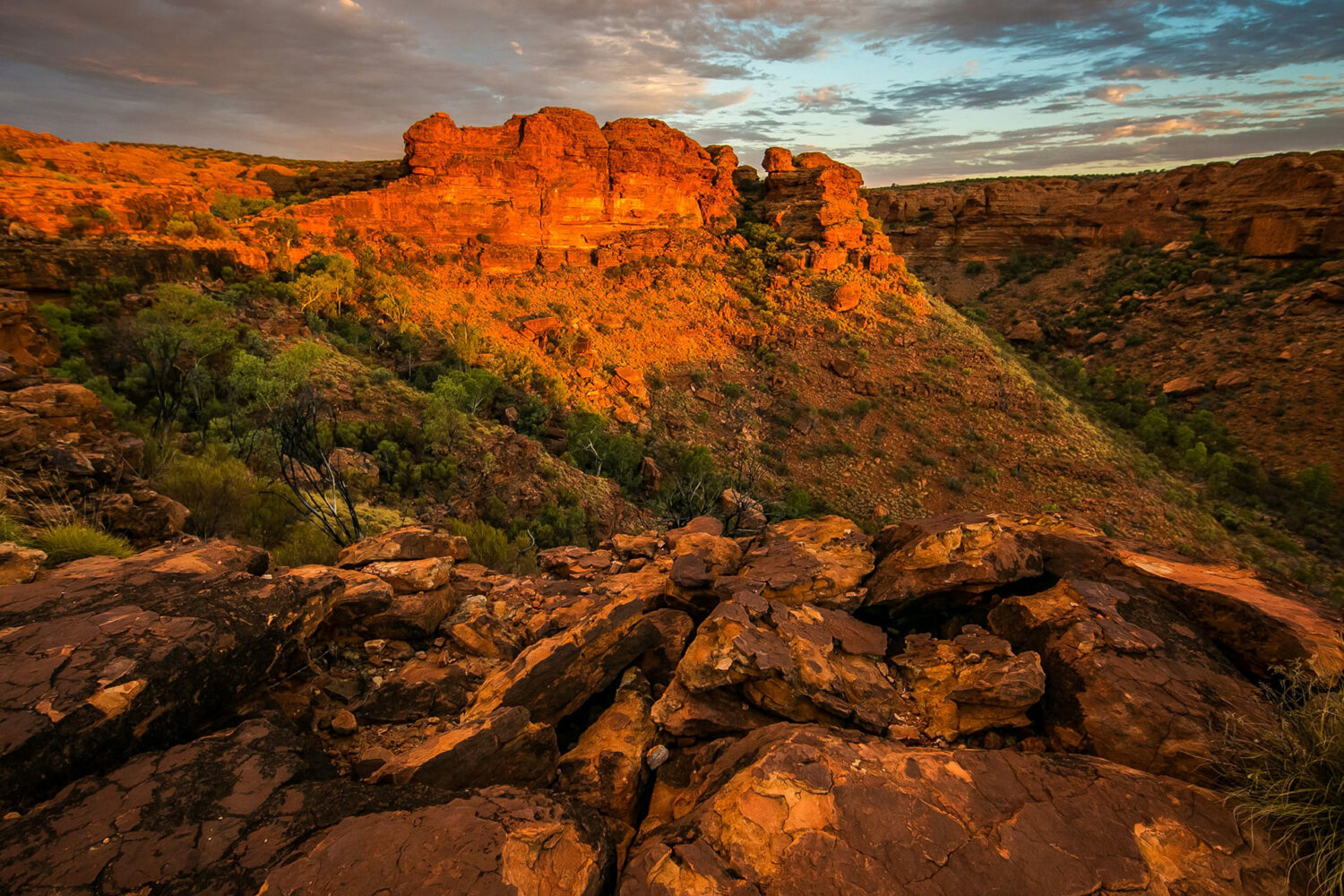 photo 1447834353189 91c48abf20e1