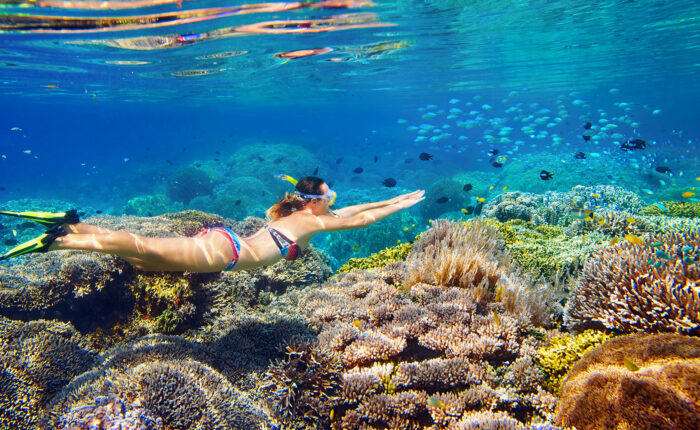 shutterstock 465949868